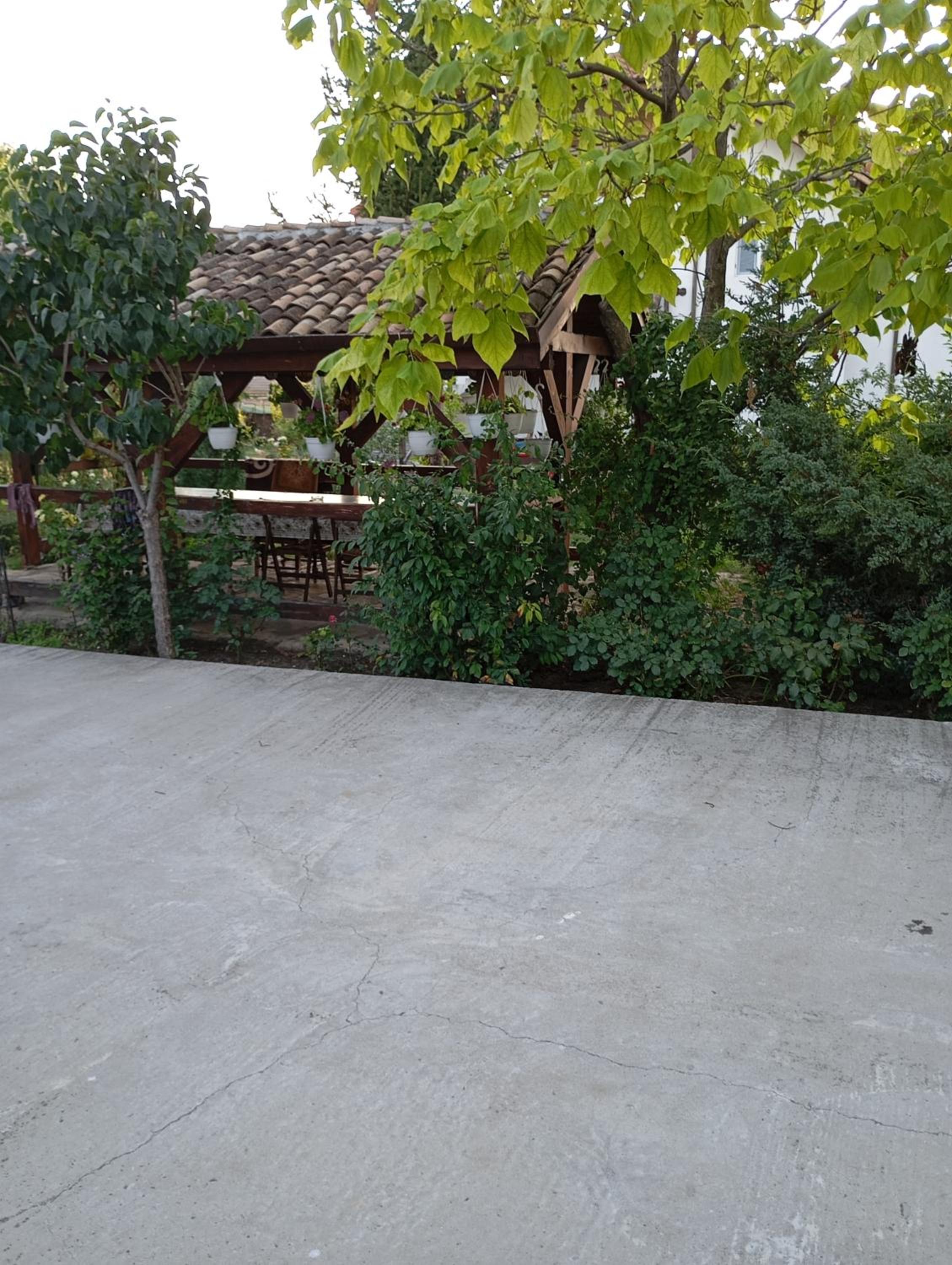 Photo 16