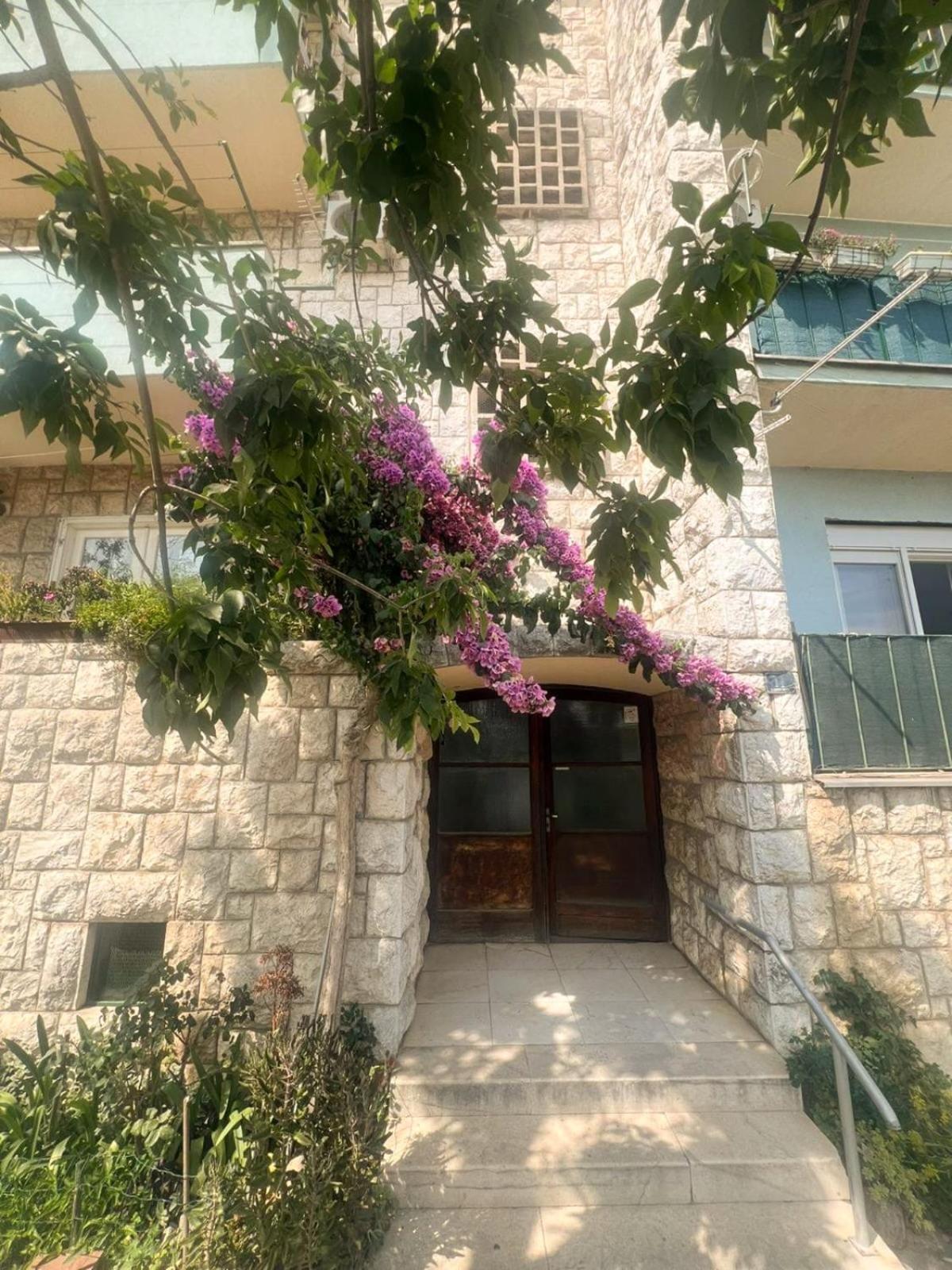 Apartman Angy
