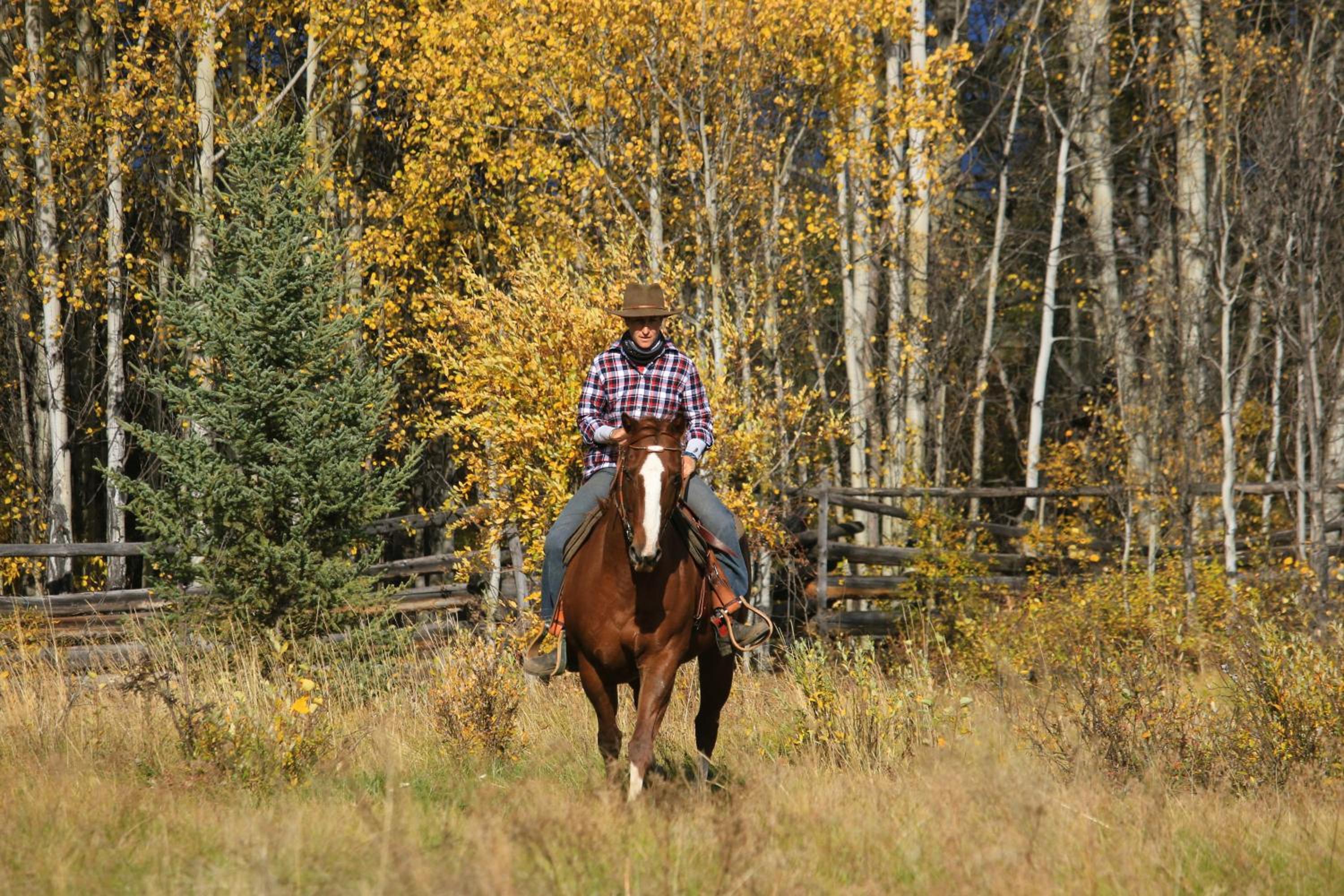 Red Cariboo Resort