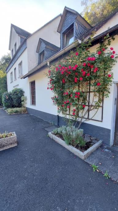 Ferienhaus Alte Beurener Mühle
