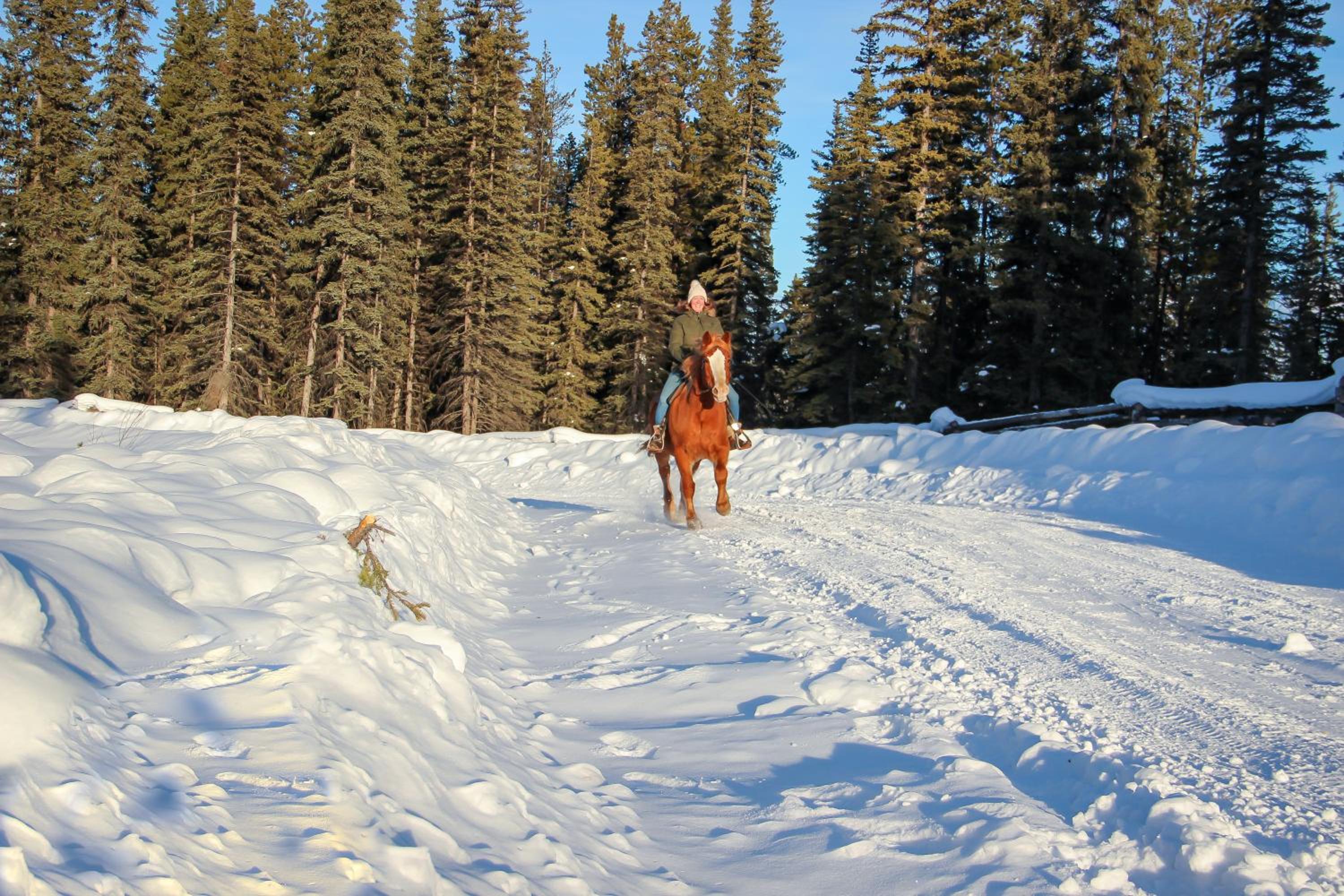 Red Cariboo Resort