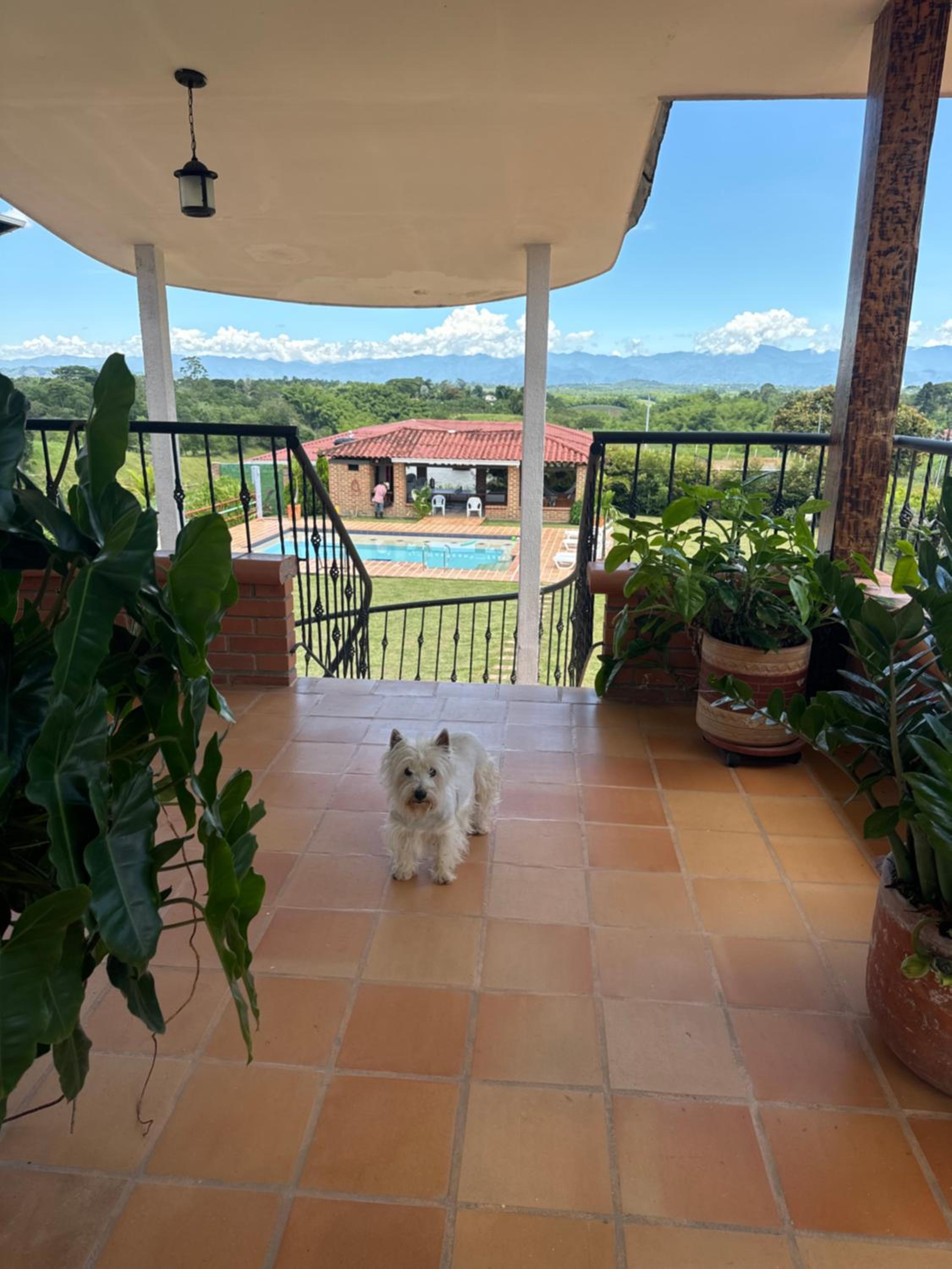 finca turística DanuBio Alojamiento Rural Pereira Risaralda