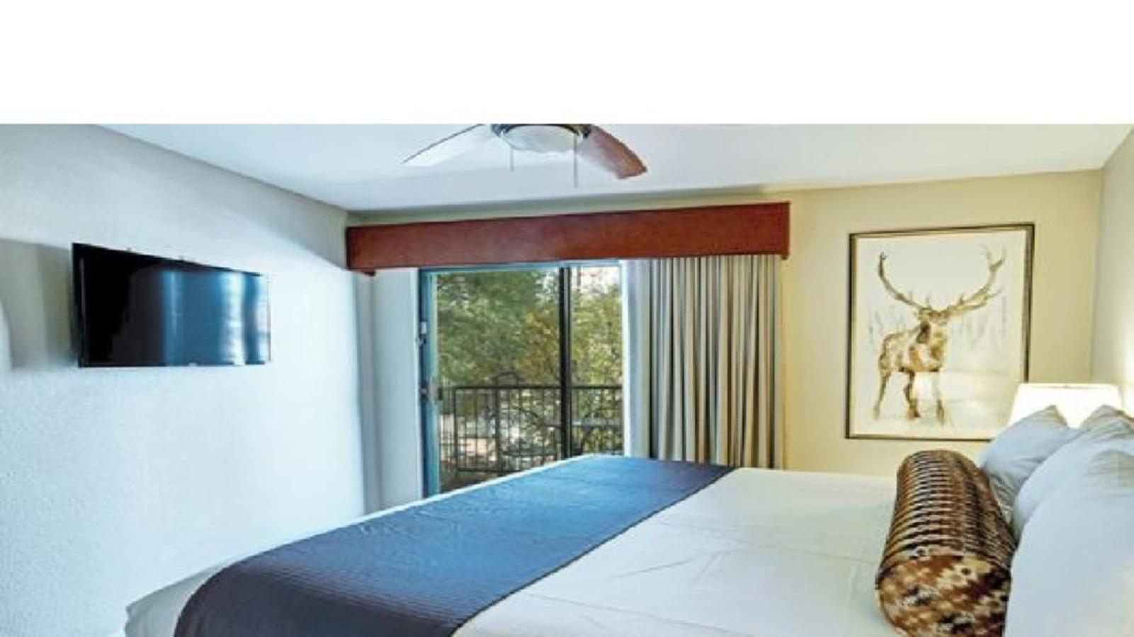 Beautiful Hotel in Durango 1BD view 2