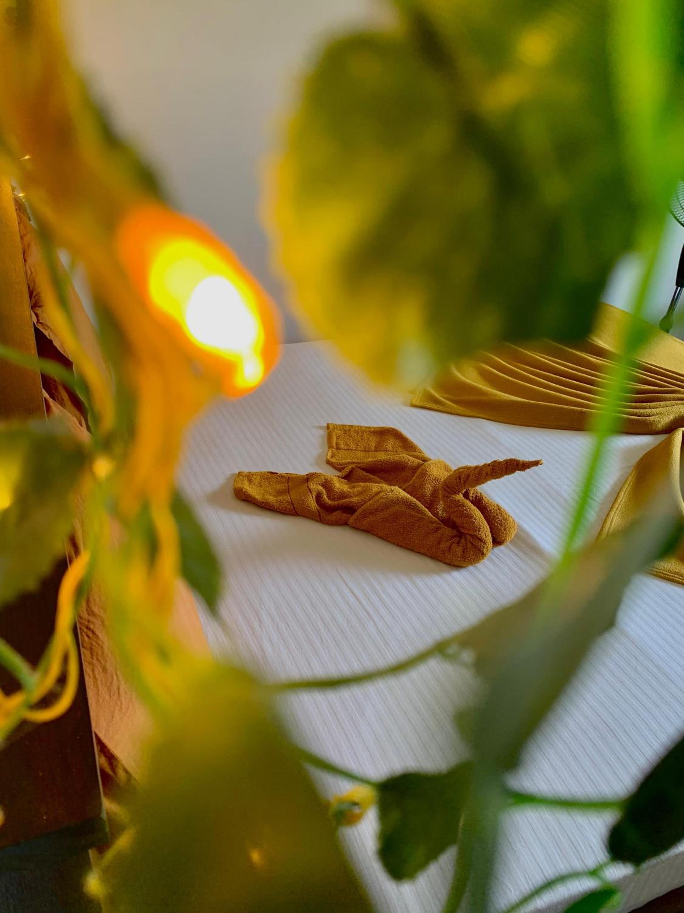 Green Leaf 360 view 4
