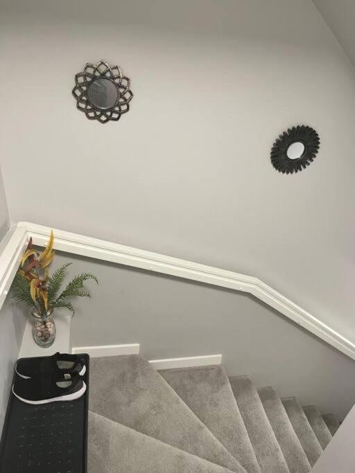 Private Basement Suite with comfort