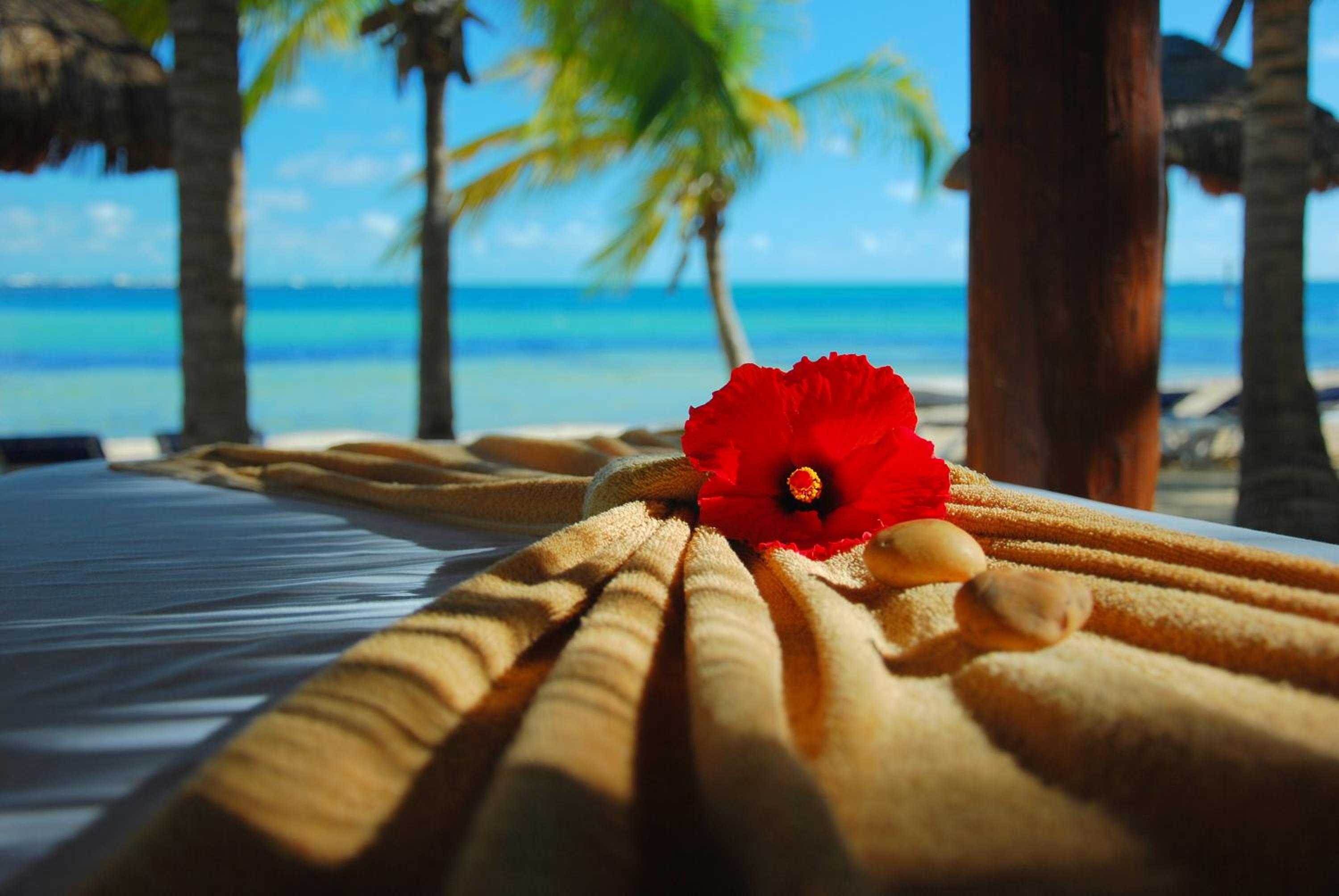 Oasis Palm - All Inclusive