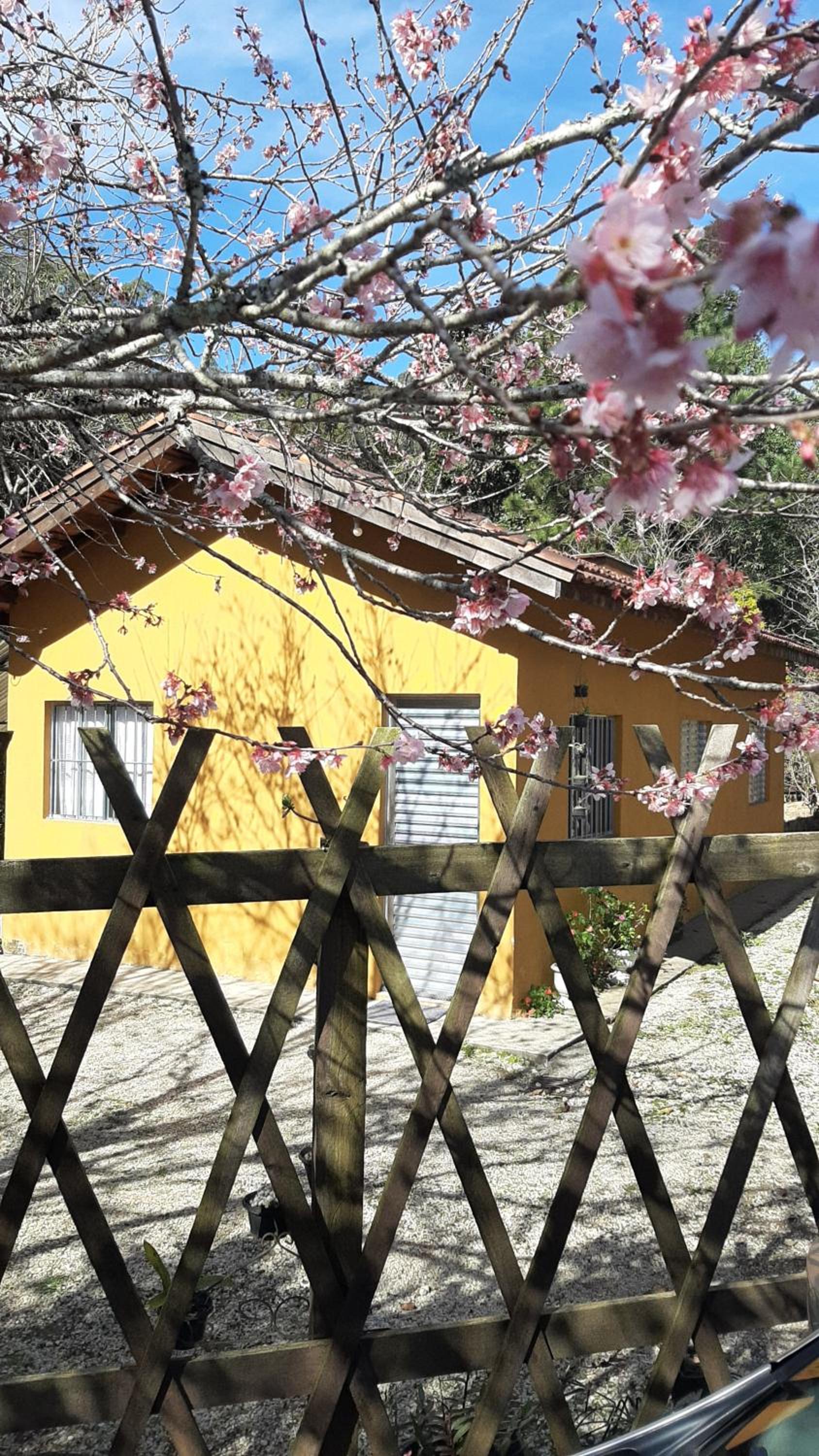 Casa Kiiro, um ambiente tranquilo e de sossego.