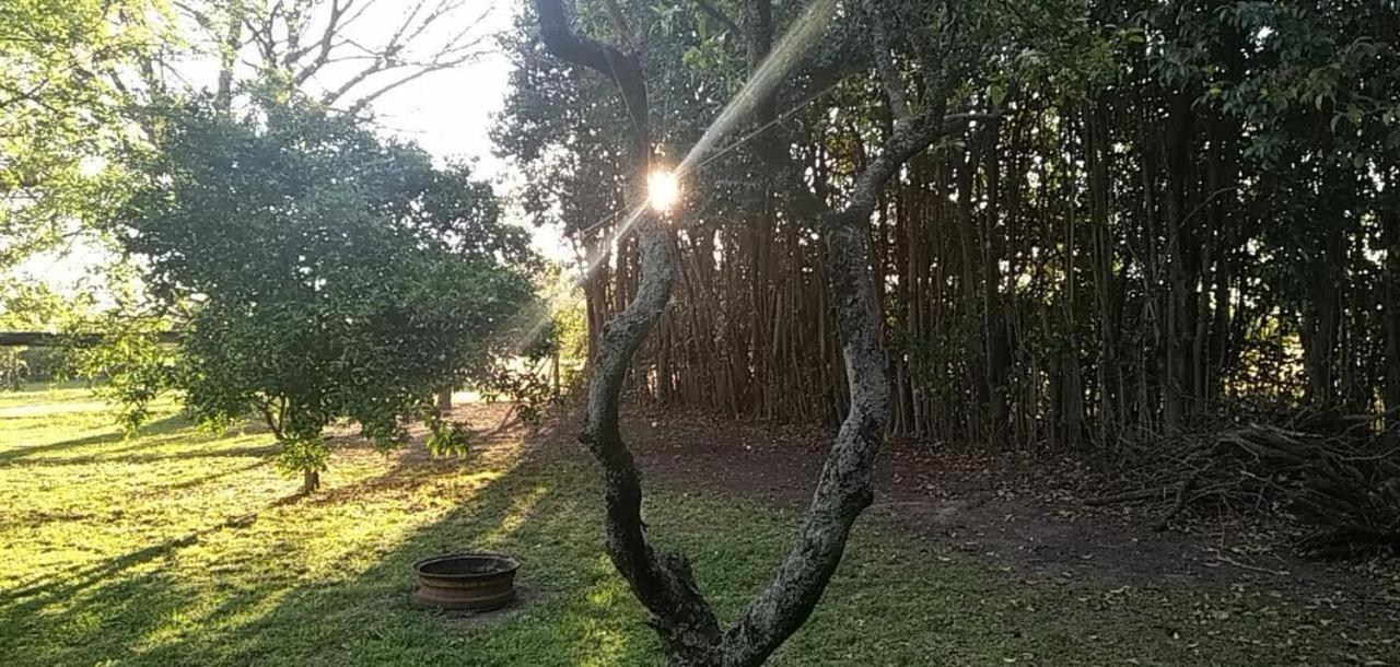 Quinta El Nogal