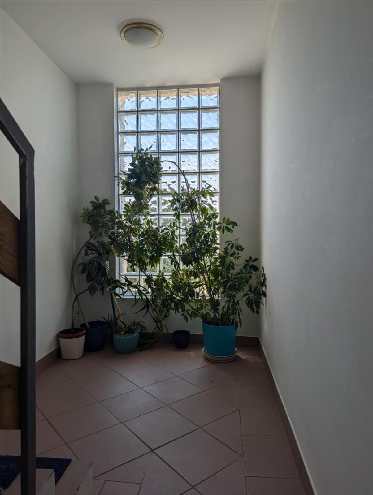 Apartmani Nova Breka