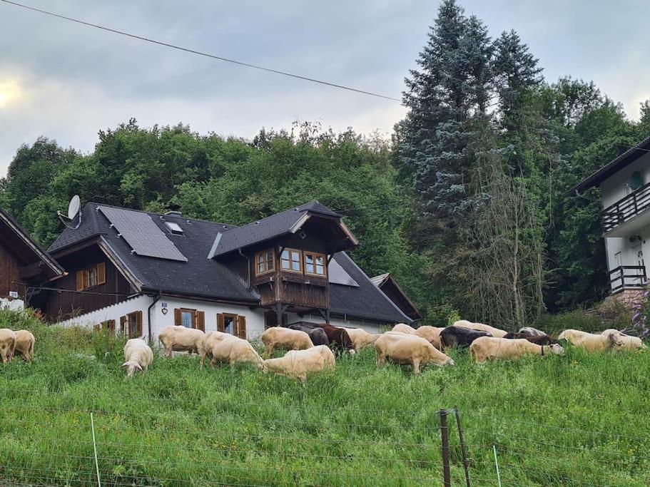 Ferienhaus Beringer am Kallbach
