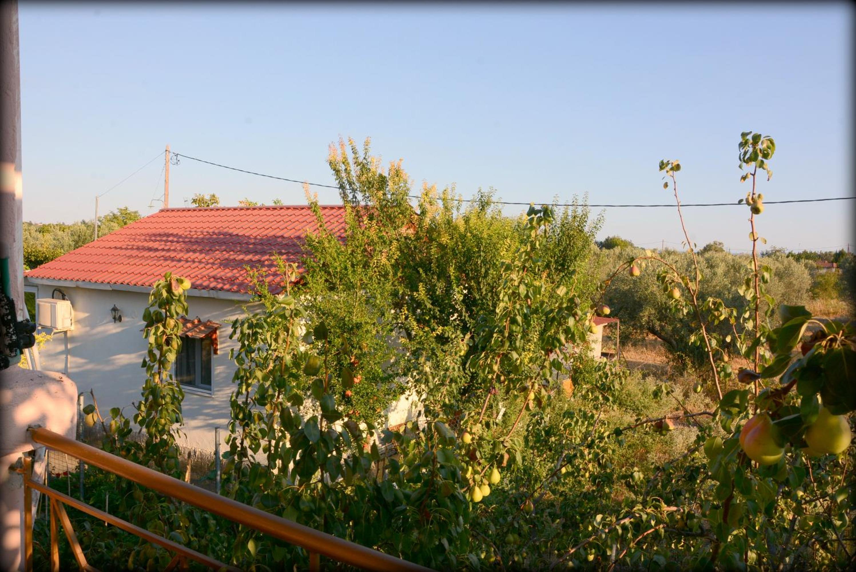 Photo 20