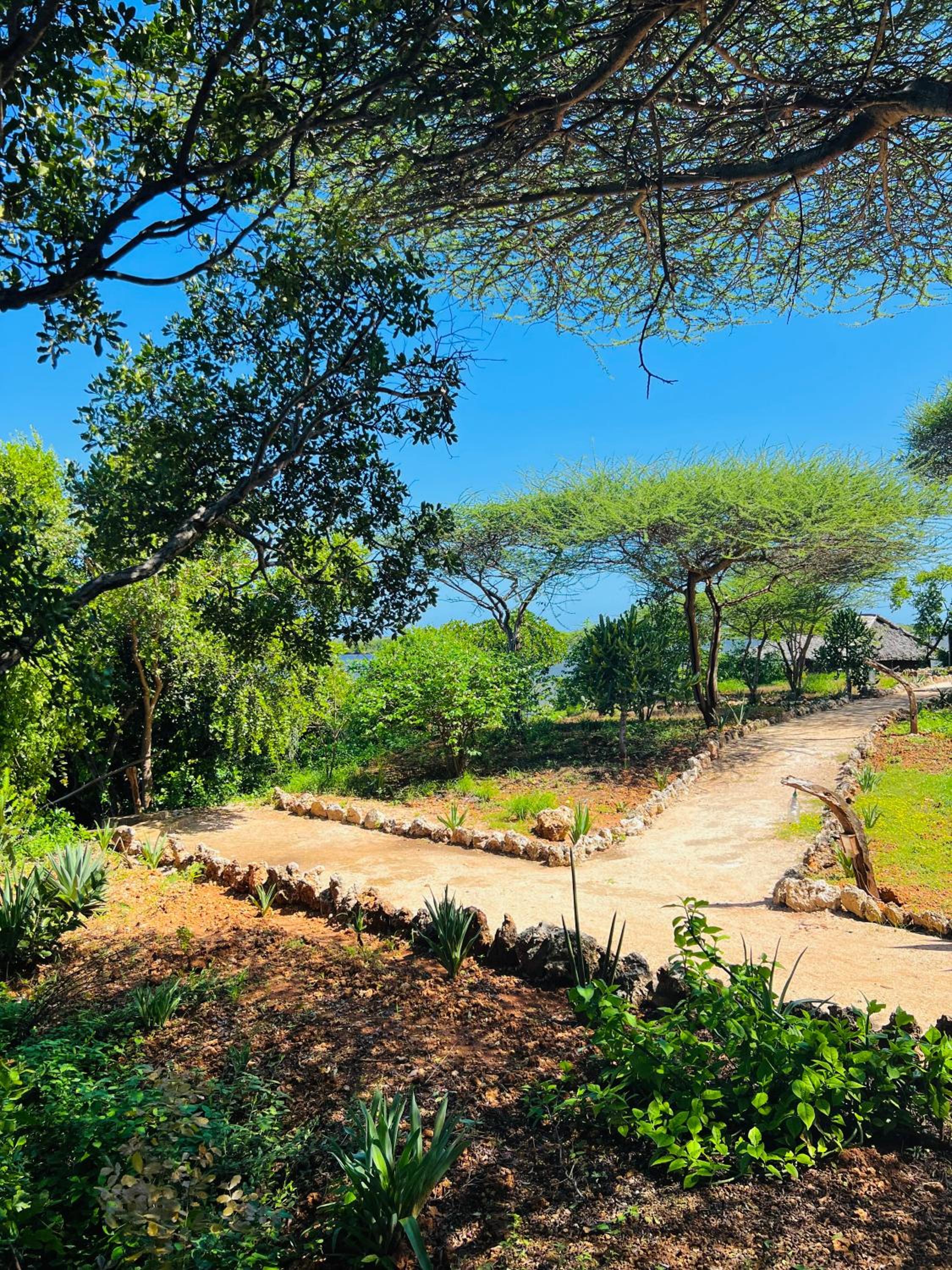 Nyla's Guest House view 3