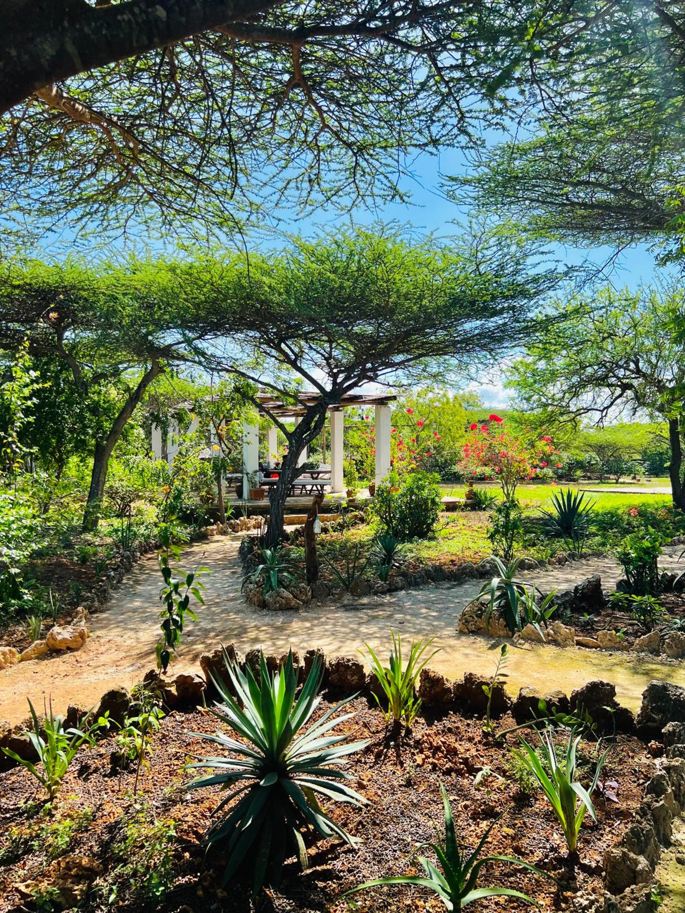Nyla's Guest House view 4