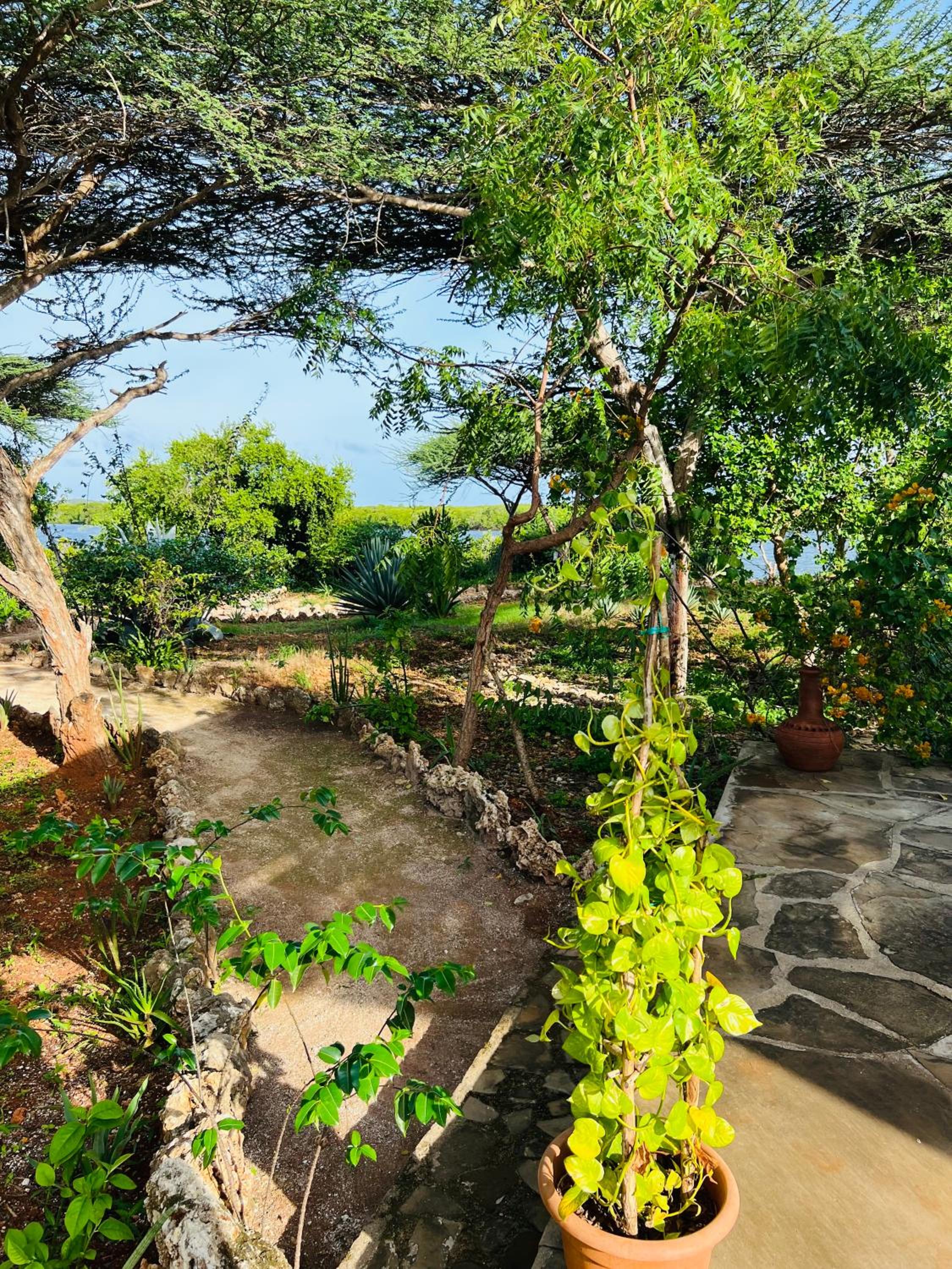 Nyla's Guest House view 5