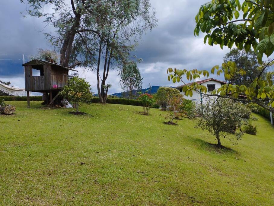 Finca las Flores - Guarne Antioquia