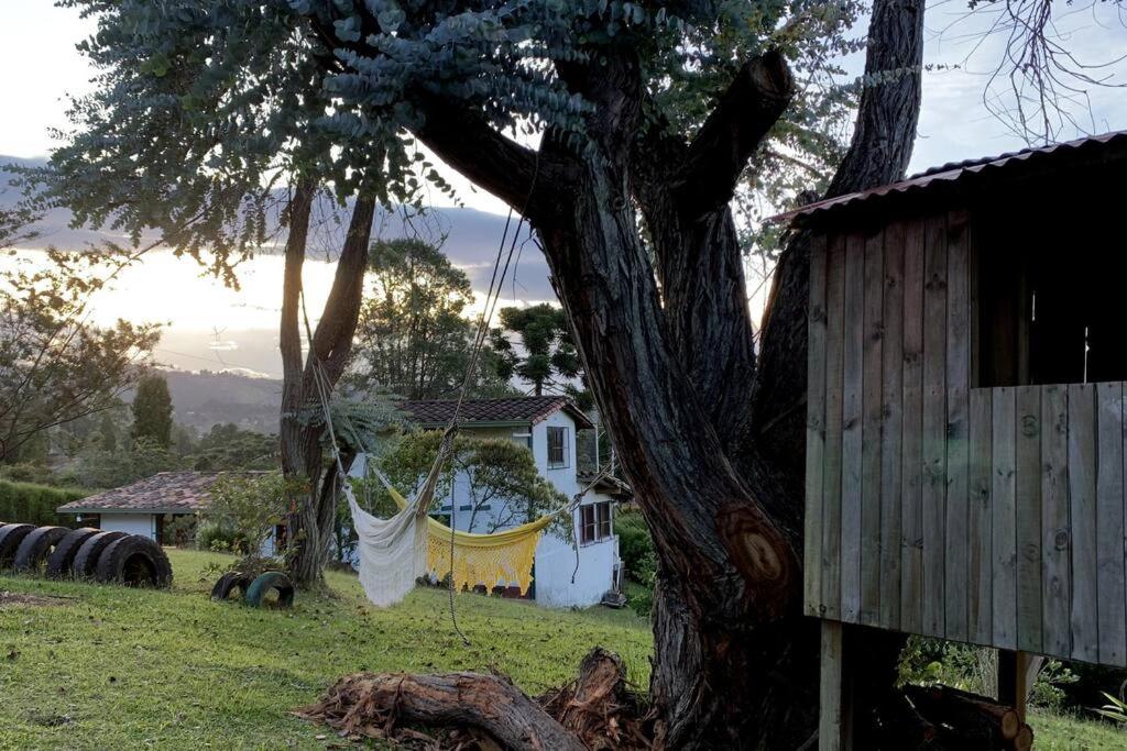 Finca las Flores - Guarne Antioquia