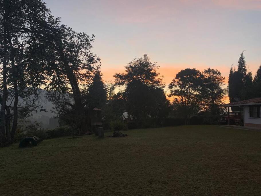 Finca las Flores - Guarne Antioquia