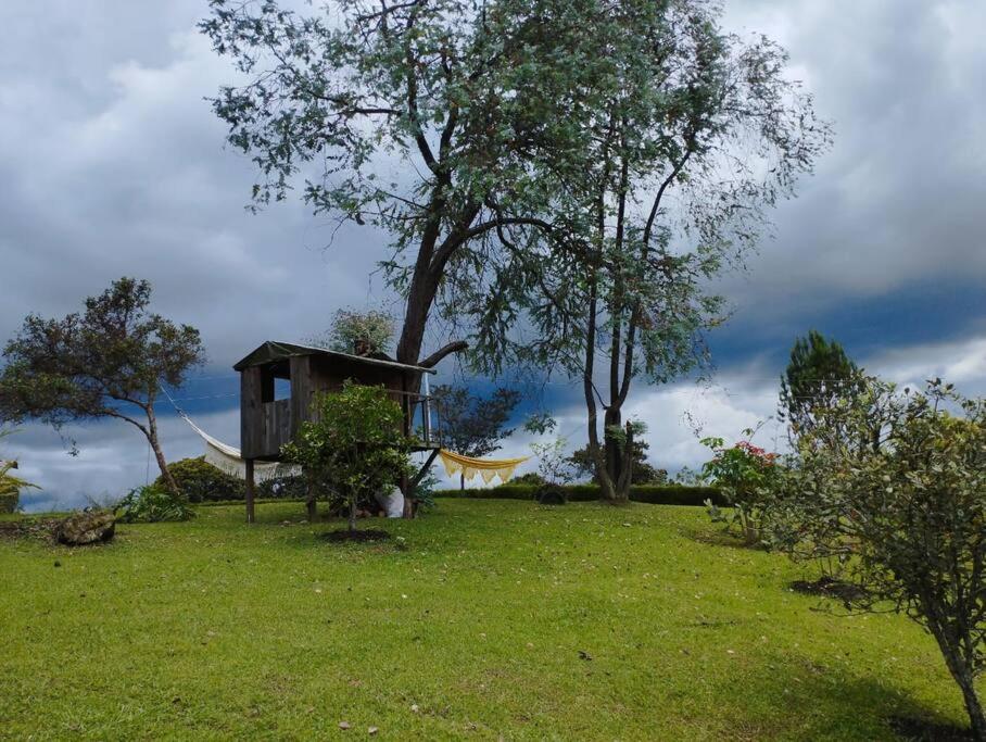 Finca las Flores - Guarne Antioquia