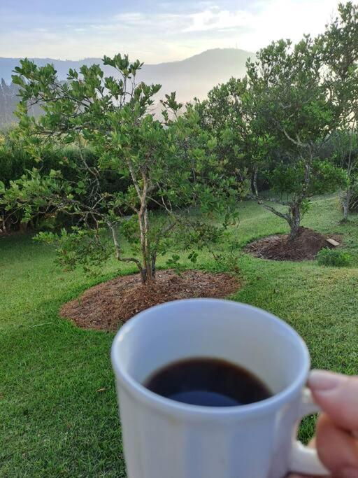 Finca las Flores - Guarne Antioquia