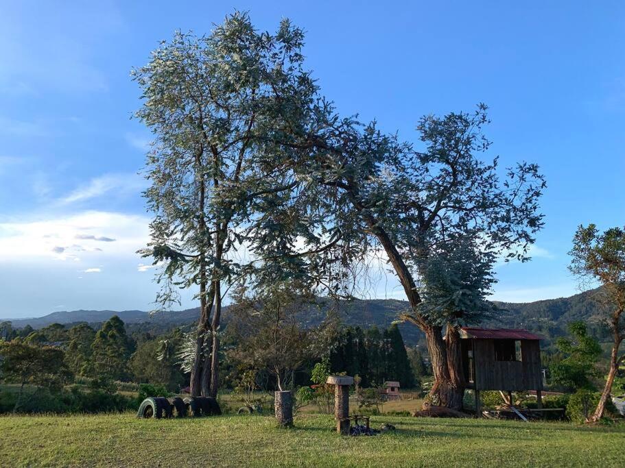 Finca las Flores - Guarne Antioquia