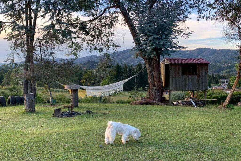 Finca las Flores - Guarne Antioquia