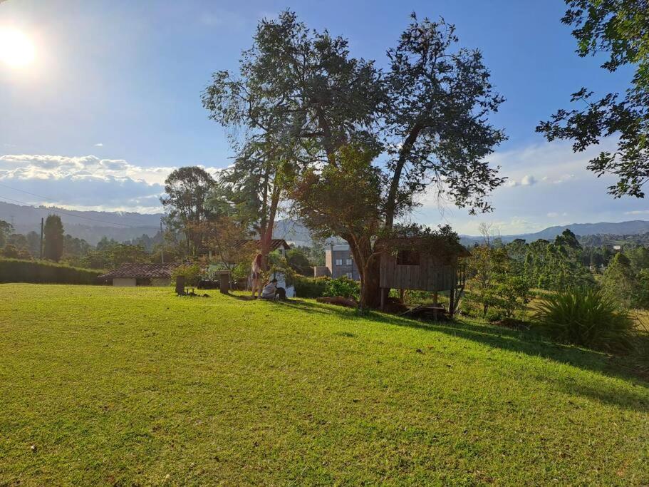 Finca las Flores - Guarne Antioquia