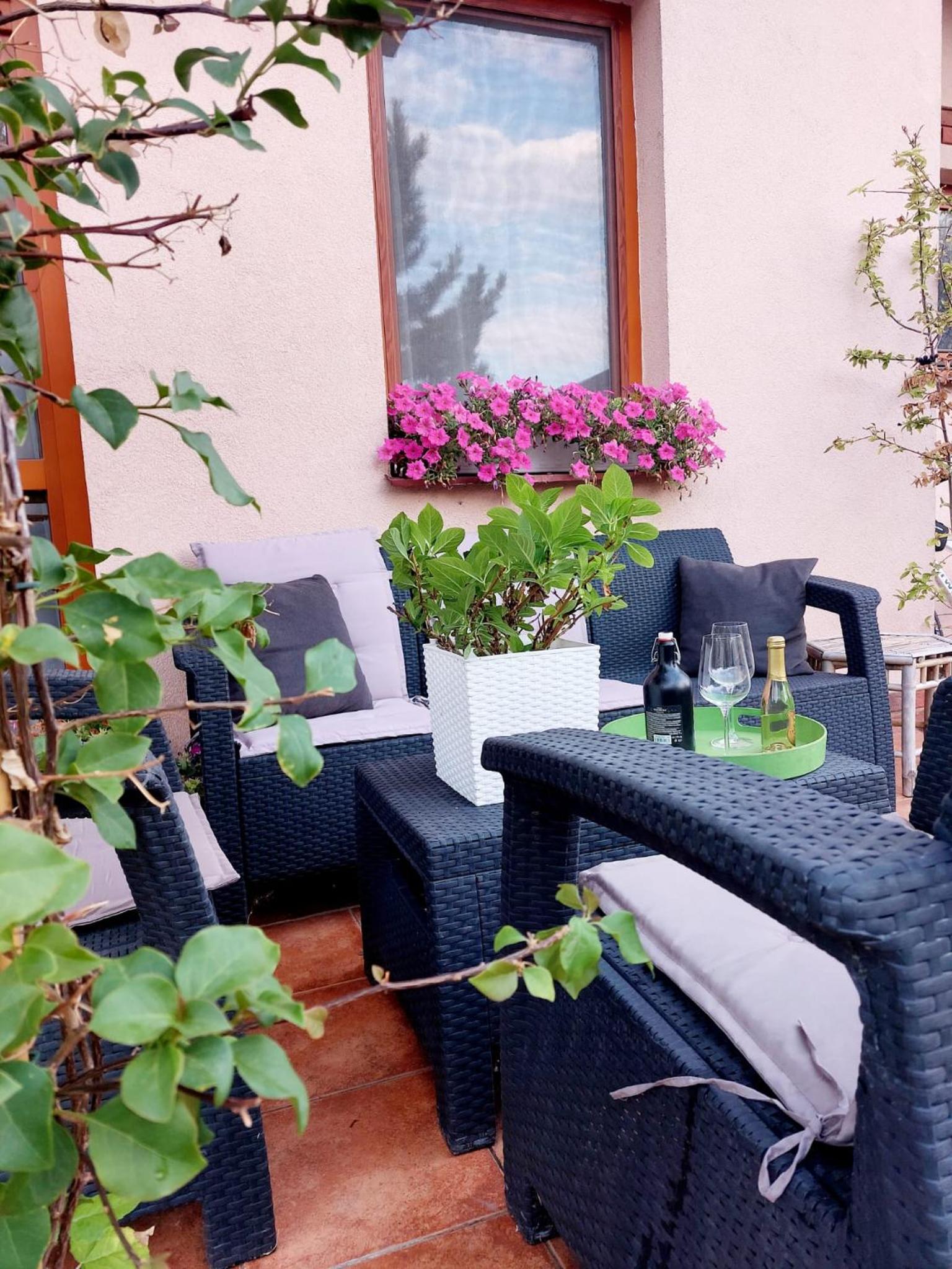 balance & terrace