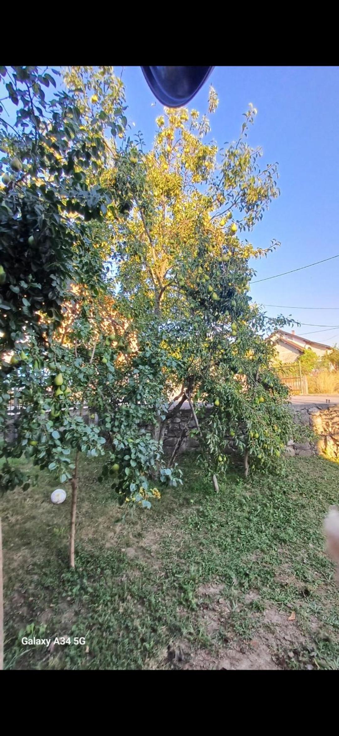 other
