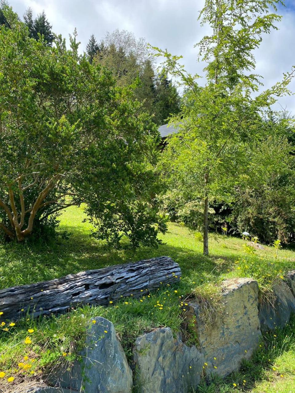 Cabañas Empunehuen