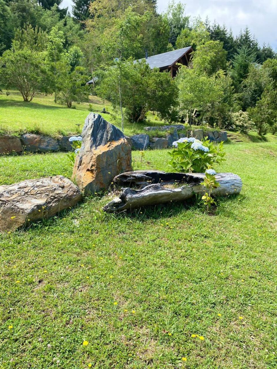 Cabañas Empunehuen
