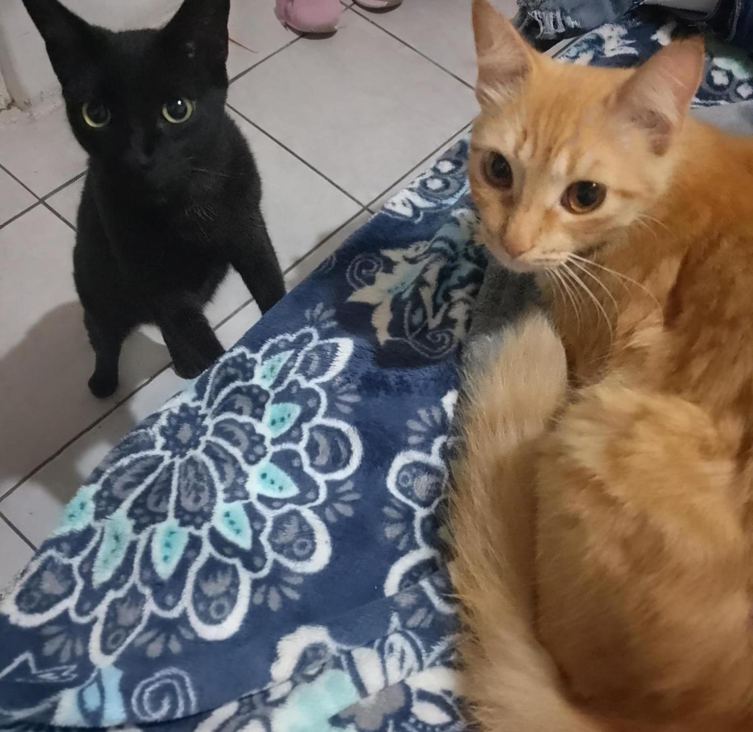 other