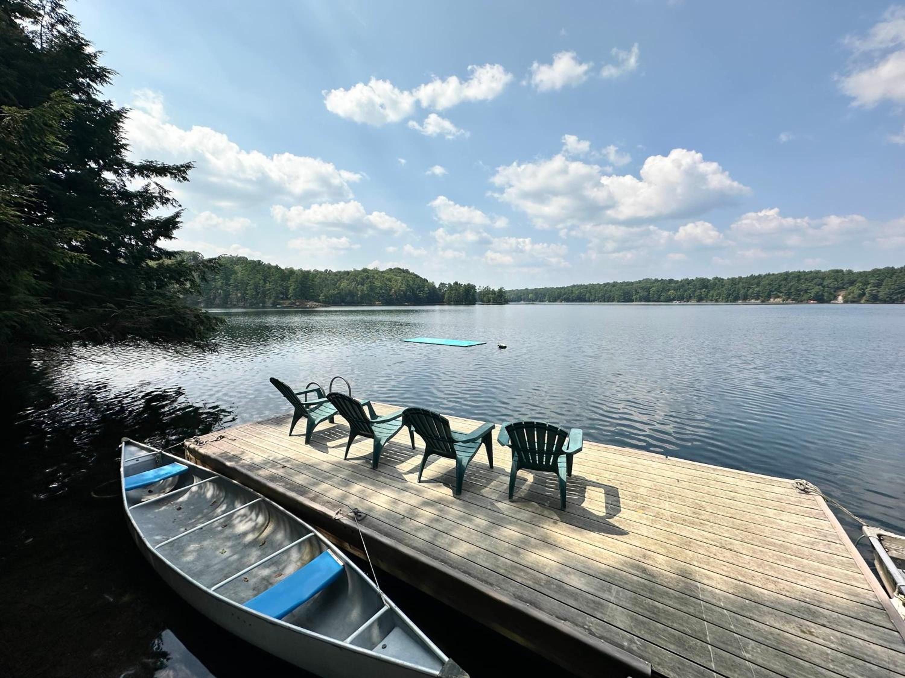 Secluded and beautiful wooded waterfront retreat