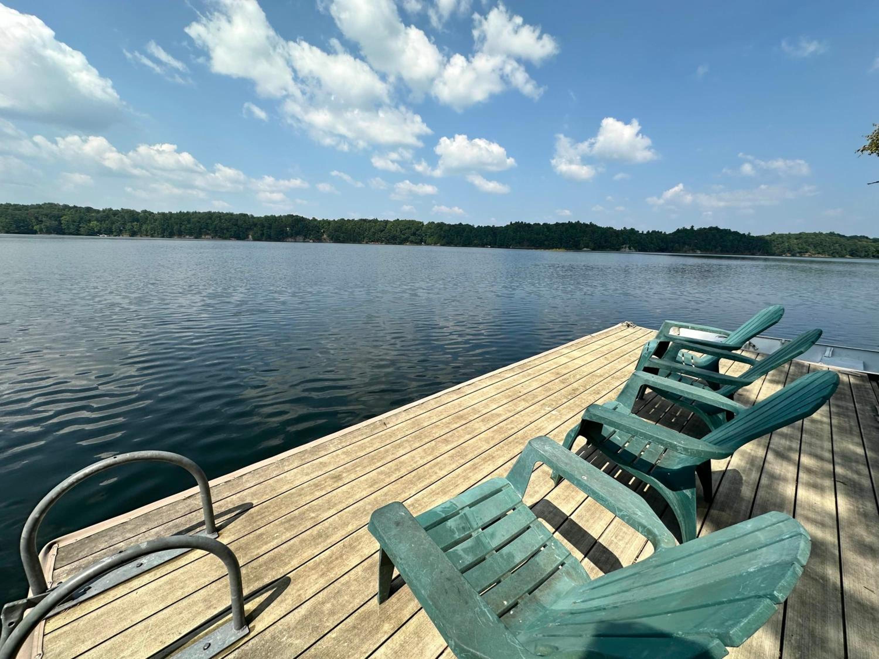 Secluded and beautiful wooded waterfront retreat
