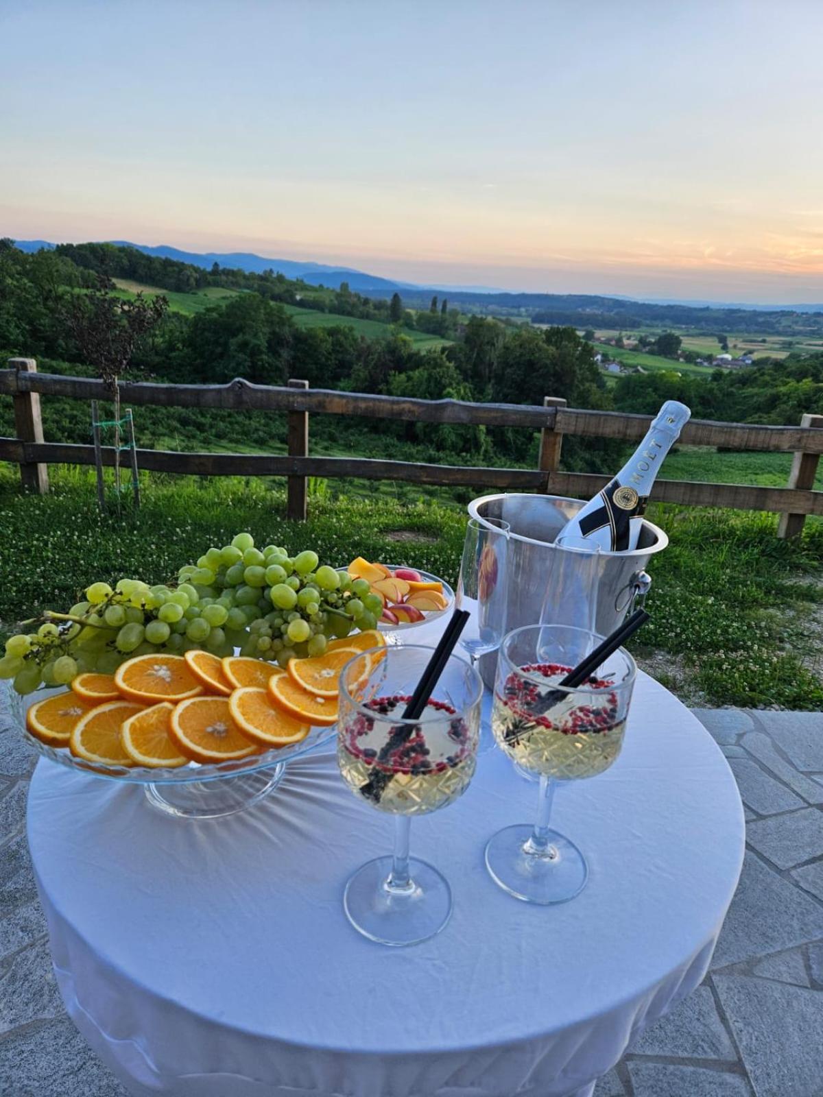Kuća sa bazenom za odmor i domjenke MARIS view 5