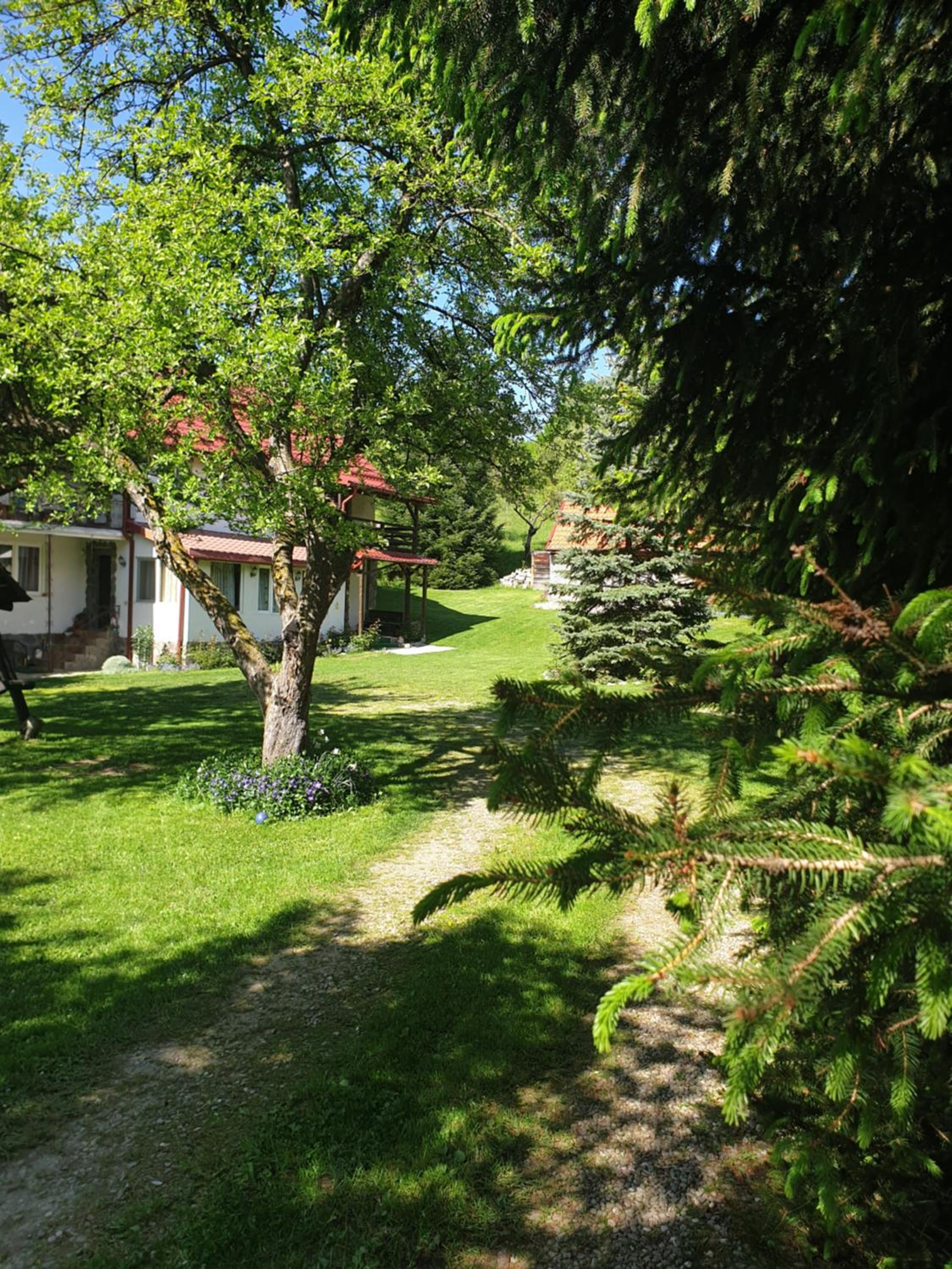 Casa Voinescu Quiet place close to Bran Castle view 3