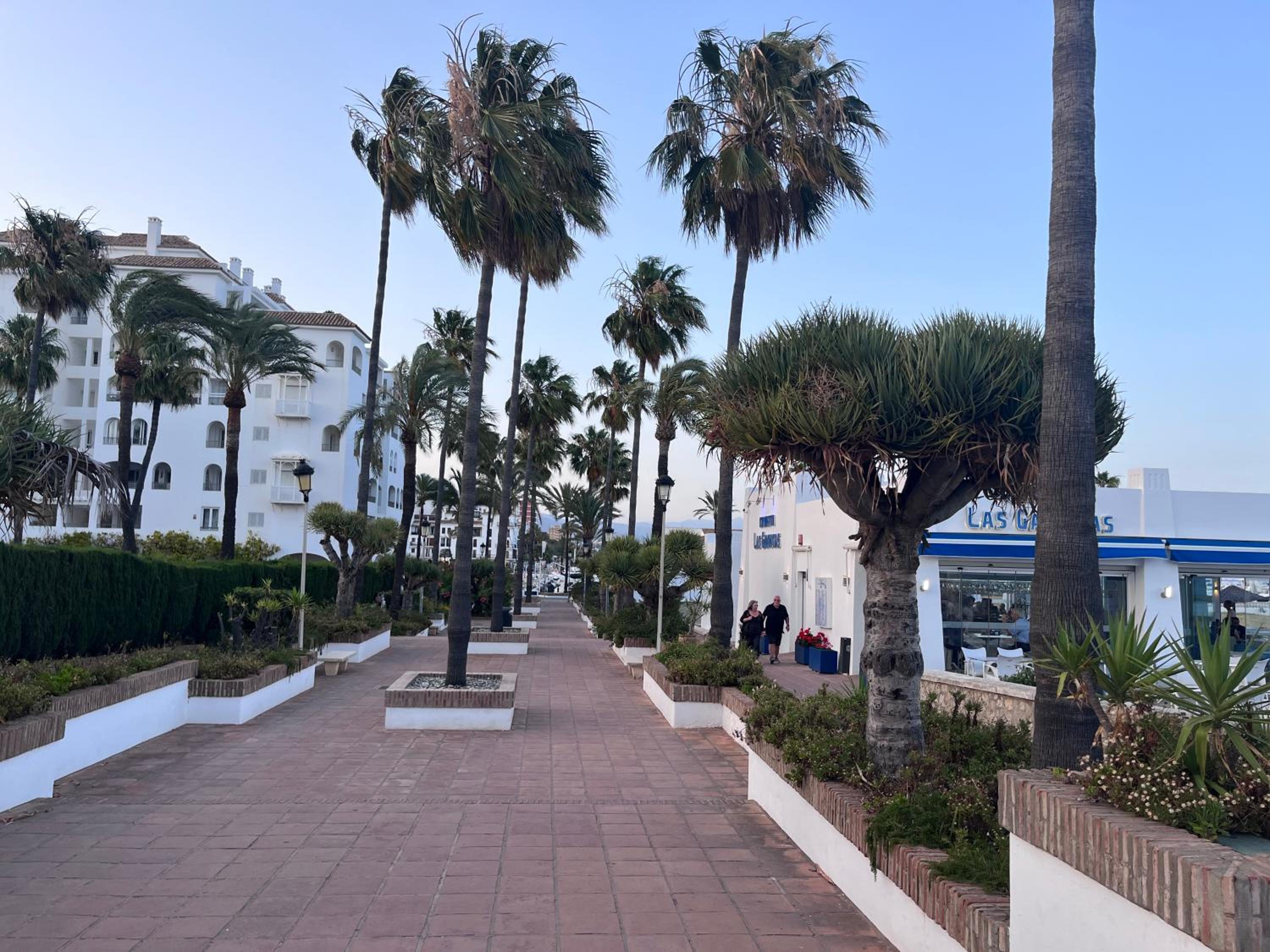 Oasis Coto Real apartments