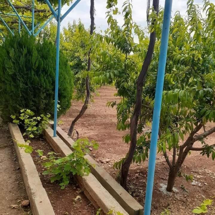 Rum Farm view 2