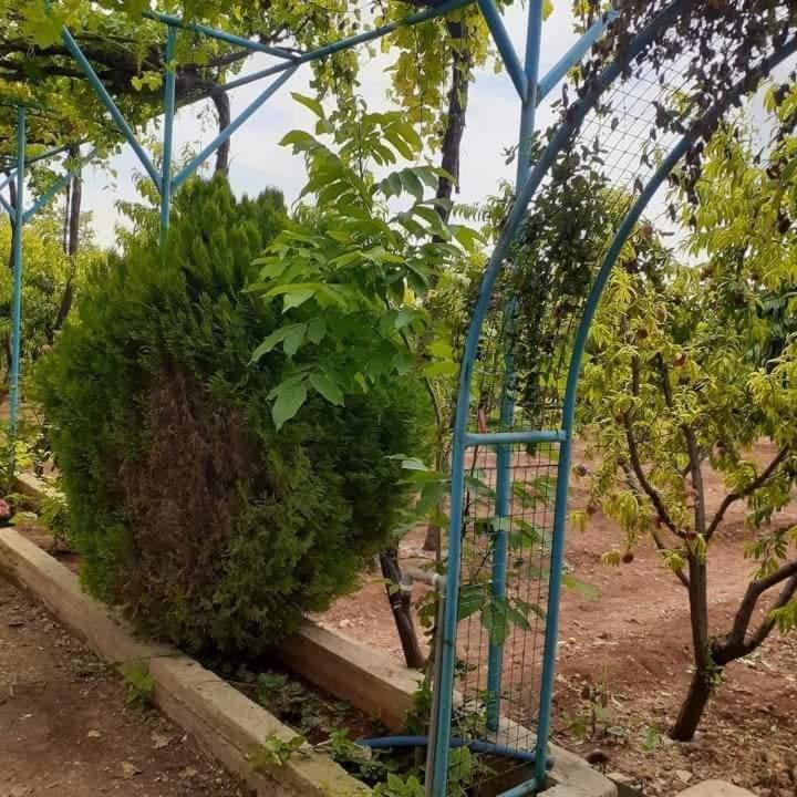 Rum Farm view 4