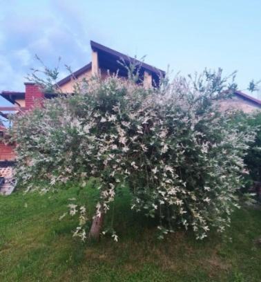 Hotel Studio Apartman Karmen