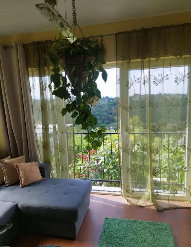 Studio apartman Karmen view 2