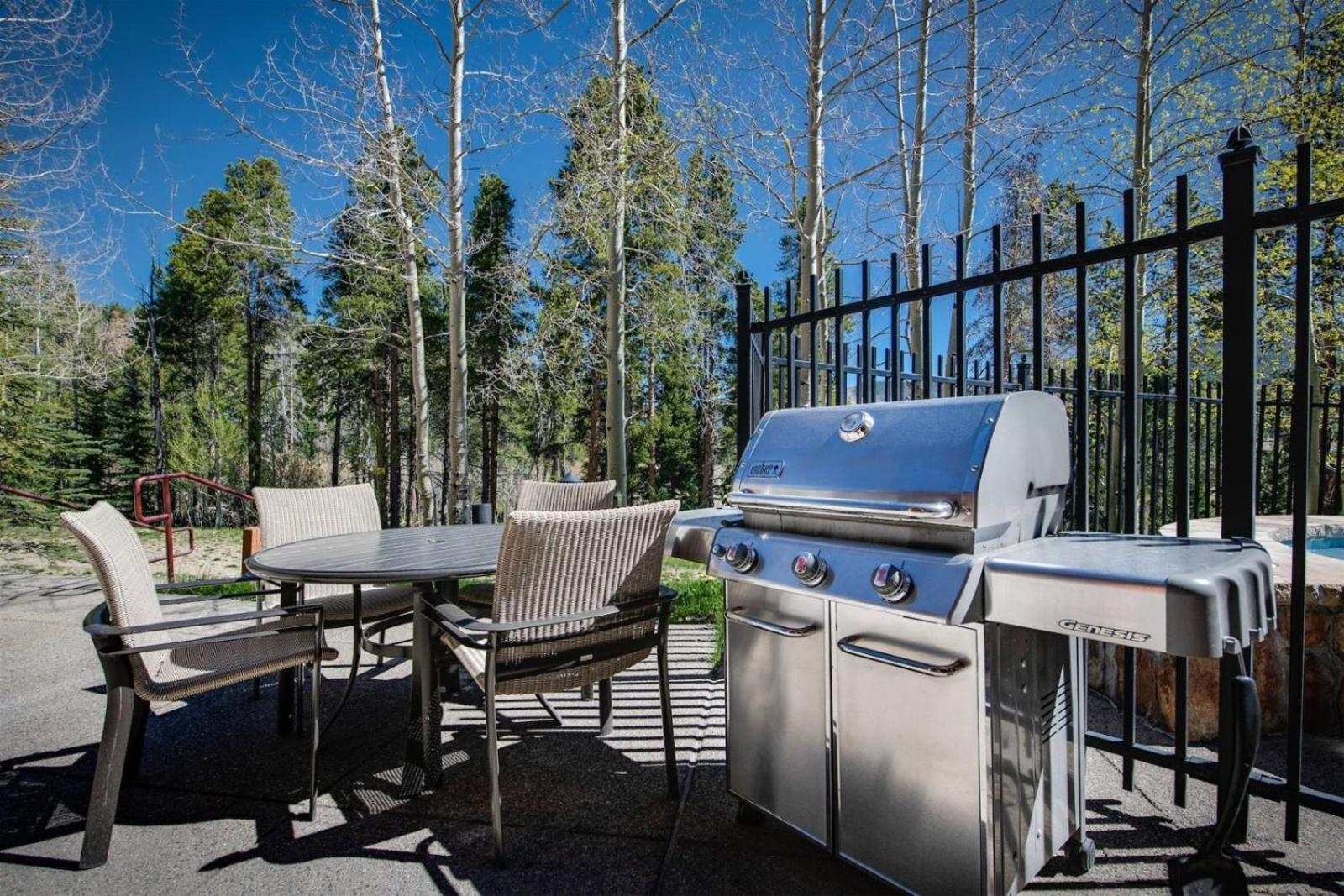 Mountain Thunder Lodge 2 Bedroom Condo - Ski In Via Skyway Skiway! view 5