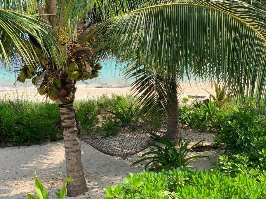 Beach'nBarefoot (Love Beach) - nestled on the beach