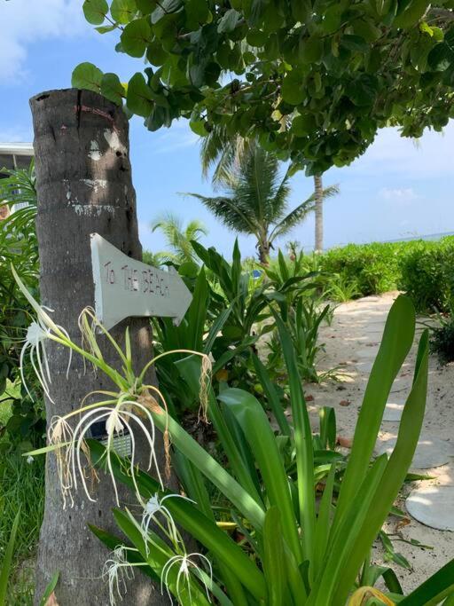 Beach'nBarefoot (Love Beach) - nestled on the beach