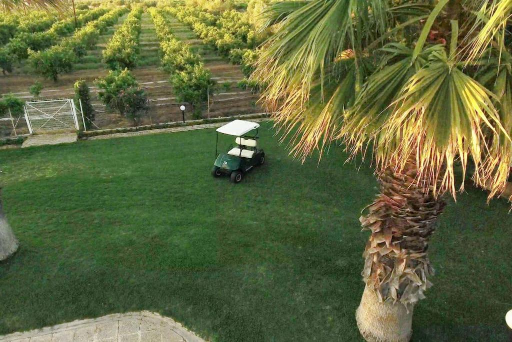 Orange Grove Villa view 4