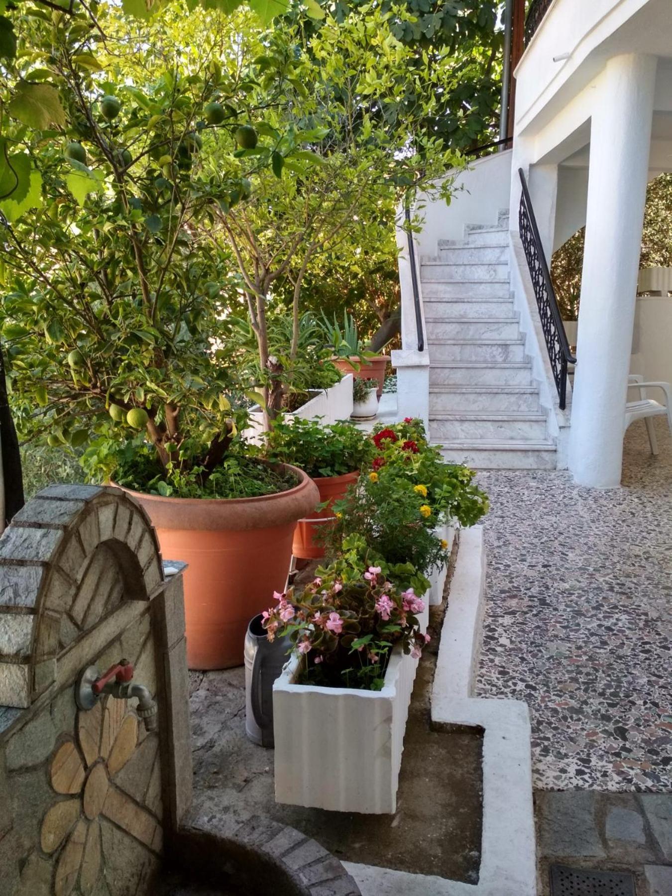 Vasilis Garden House
