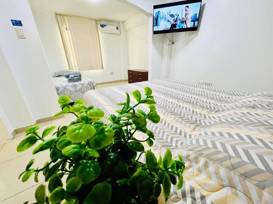 hotel room