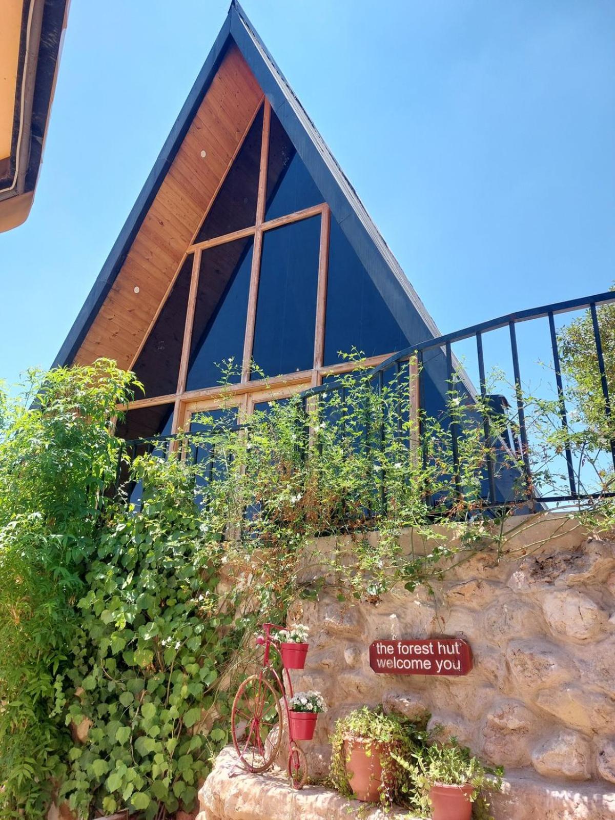 Forest Hut