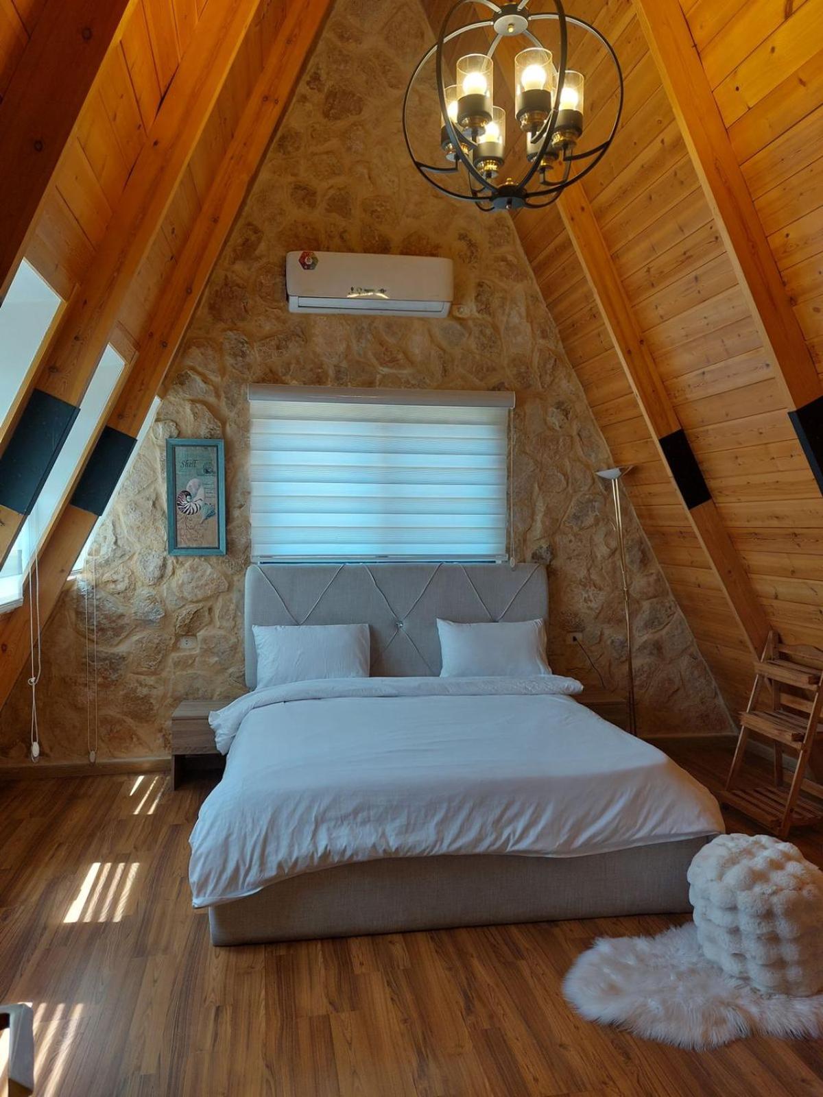 Forest Hut