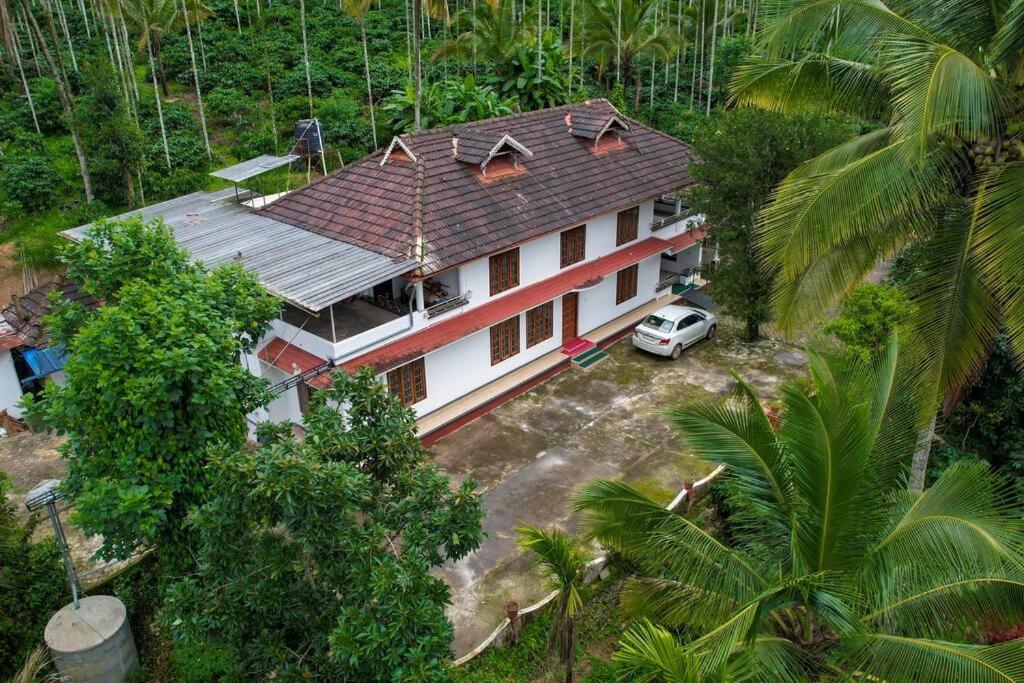 Wayanad Palm Grove Retreat 1st Floor view 3
