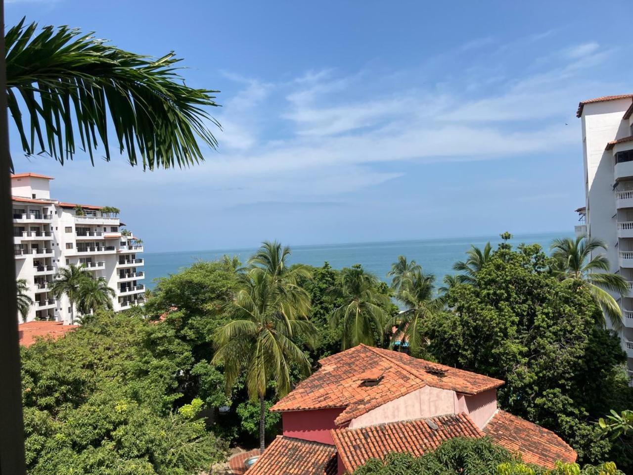 Apartment Bello Horizonte